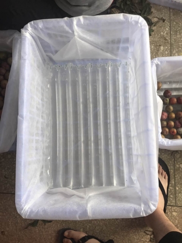 緩沖氣柱（注水后使用）